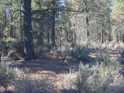 Undeveloped Land in Klamath County, Oregon