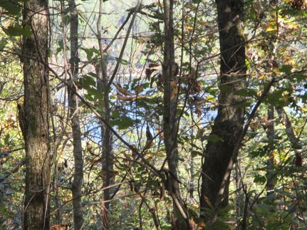 Farm and Ranch in Tishomingo County, Mississippi