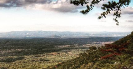 Farm and Ranch in Shelby County, Alabama