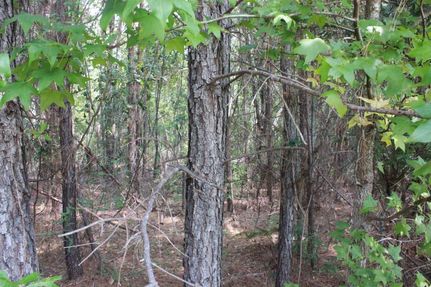 Undeveloped Land in Charleston County, South Carolina