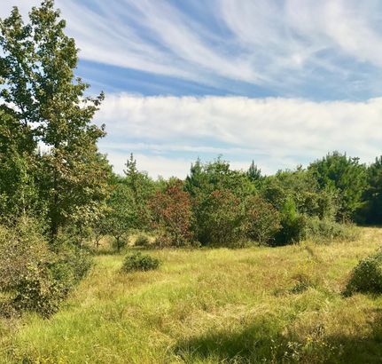 Farm and Ranch in Trinity County, Texas