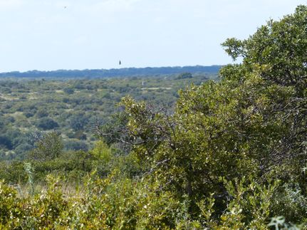 Farm and Ranch in Concho County, Texas