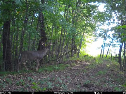 Undeveloped Land in Trempealeau County, Wisconsin