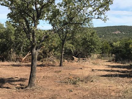 Farm and Ranch in Young County, Texas