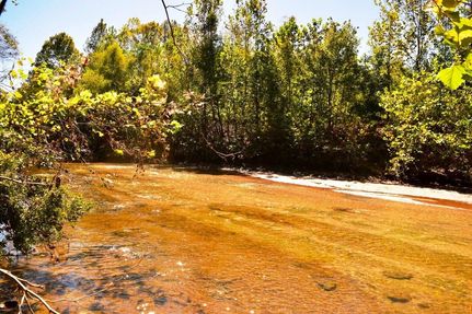 Recreational Property in Wilcox County, Alabama