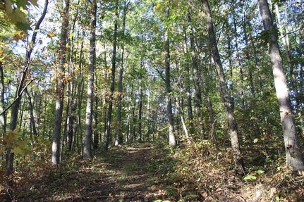 Timberland Property in Gallia County, Ohio