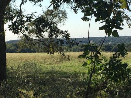 Timberland Property in Leon County, Texas