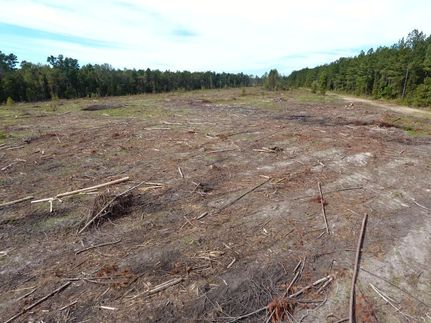 Land in Berkeley County, South Carolina