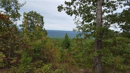 Timberland Property in Le Flore County, Oklahoma