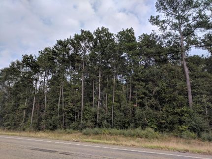 Farm and Ranch in Tyler County, Texas