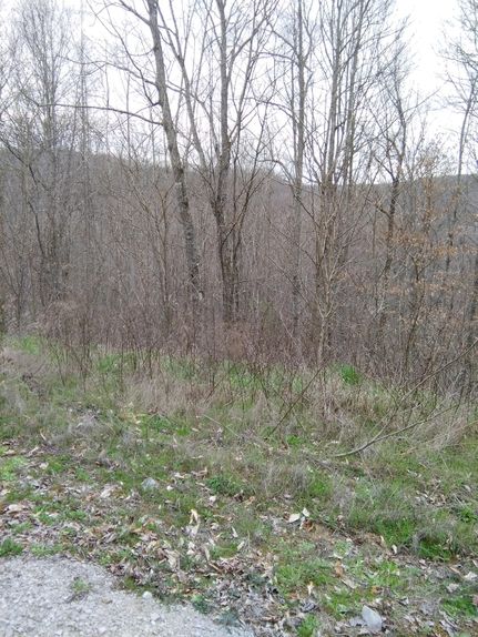 Land in Fentress County, Tennessee