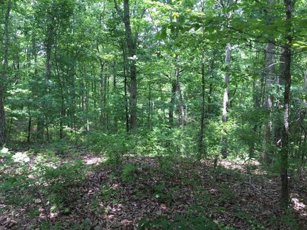 Land in Wayne County, Tennessee