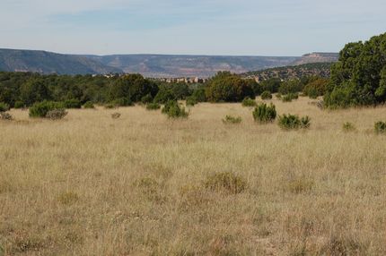 Recreational Property in Harding County, New Mexico