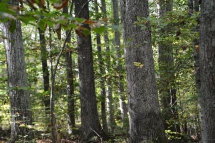Farm and Ranch in Prince Edward County, Virginia
