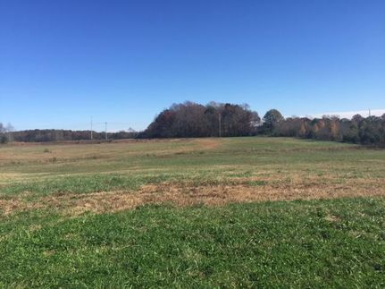 Undeveloped Land in Coffee County, Tennessee