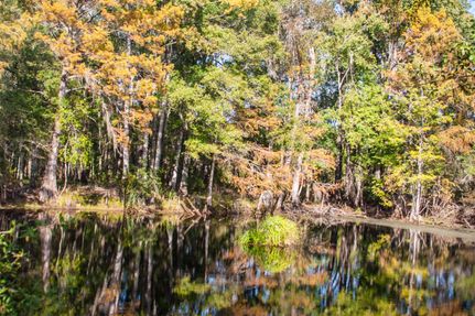 Hunting Property in Jefferson County, Florida