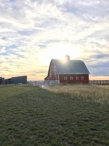 Farm and Ranch in Dawson County, Montana