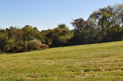 Undeveloped Land in Loudoun County, Virginia