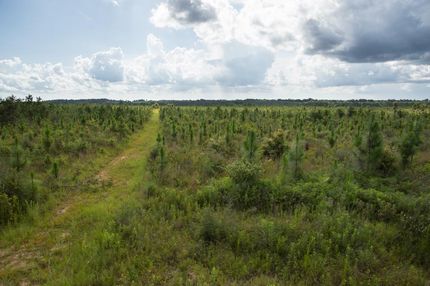 Undeveloped Land in Santa Rosa County, Florida