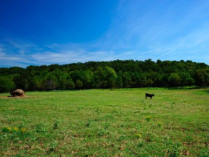 Timberland Property in Pittsburg County, Oklahoma