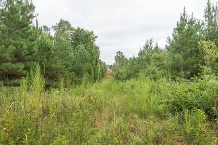 Undeveloped Land in Richmond County, North Carolina