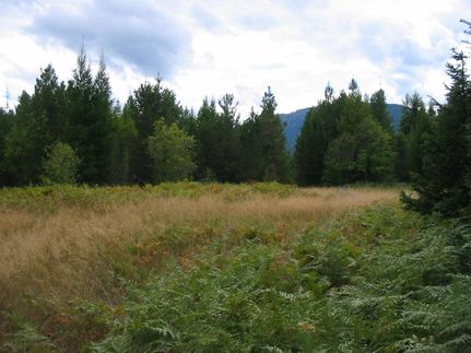Farm and Ranch in Lincoln County, Montana