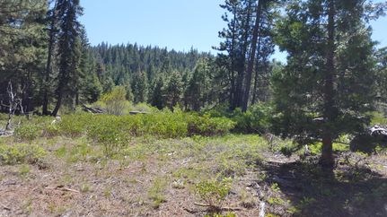 Undeveloped Land in Klamath County, Oregon