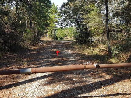 Farm and Ranch in San Jacinto County, Texas