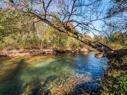Land in Wayne County, Tennessee