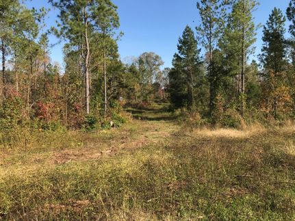 Recreational Property in Spartanburg County, South Carolina