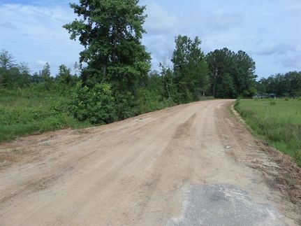 Recreational Property in Wayne County, Georgia