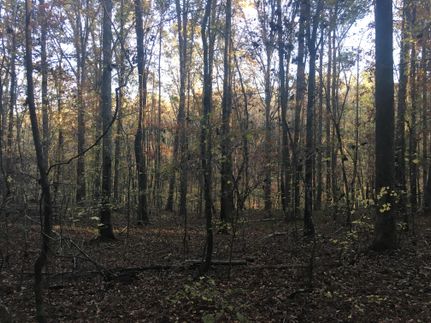 Farm and Ranch in Morgan County, Georgia