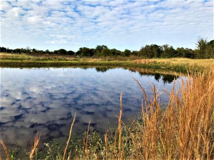 Hunting Property in Brazos County, Texas