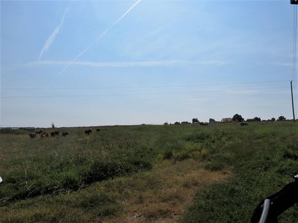 Timberland Property in Pittsburg County, Oklahoma