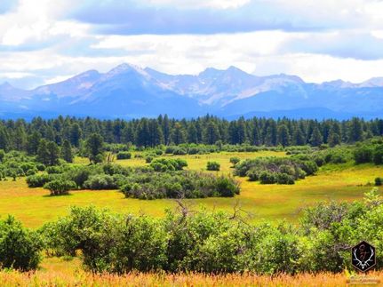 Undeveloped Land in Montezuma County, Colorado