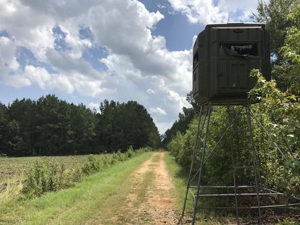 Riverfront Property in Hampton County, South Carolina