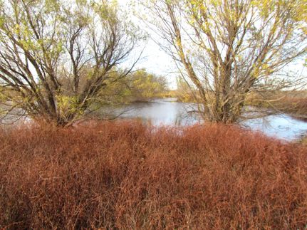 Land in Montague County, Texas