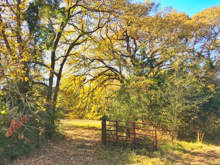 Recreational Property in Leon County, Texas