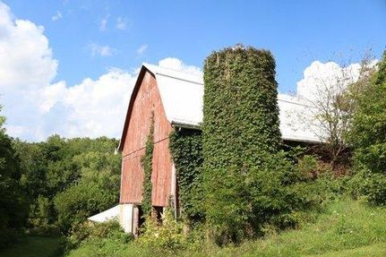Undeveloped Land in Iowa County, Wisconsin