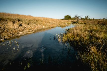 Land in Hamilton County, Texas