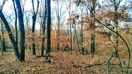 Undeveloped Land in Cherokee County, Oklahoma