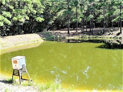 Commercial Property in Leon County, Texas