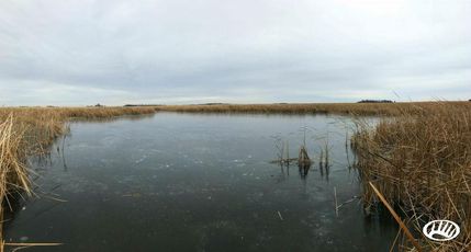 Farm and Ranch in Stevens County, Minnesota