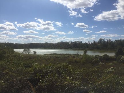 Farm and Ranch in Lonoke County, Arkansas