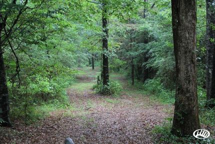 Land in Marion County, Mississippi