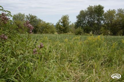 Farm and Ranch in Buffalo County, Wisconsin