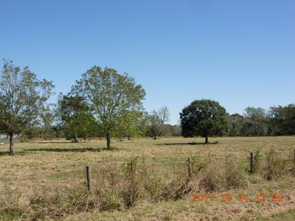 Undeveloped Land in Brazoria County, Texas