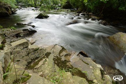 Land in Cherokee County, Alabama