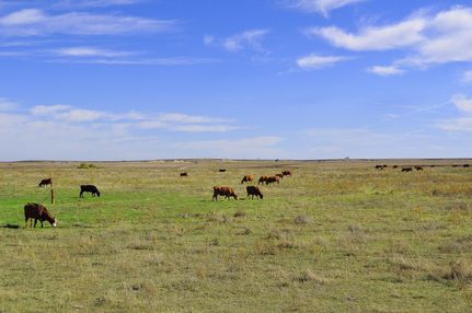 Farm and Ranch in Gove County, Kansas