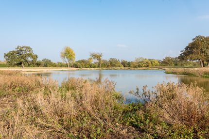Recreational Property in Henderson County, Texas
